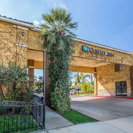 Quality Inn Hemet - San Jacinto מראה חיצוני תמונה